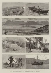 La industria pesquera en la costa oeste de Irlanda